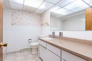 642 Country Ln, Beecher, IL 60401 - Photo 23