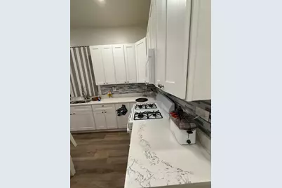 528 E 46th Place, Chicago, IL 60653 - Photo 5