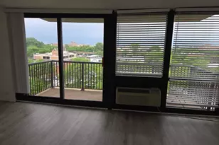 2901 S Michigan Ave, Chicago, IL 60616 - Photo 19