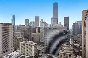 10 E Ontario St, Chicago, IL 60611 - Photo 17