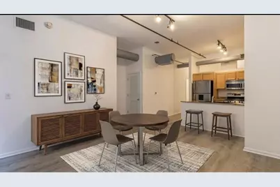400 W Ontario Street #507, Chicago, IL 60654 - Photo 3