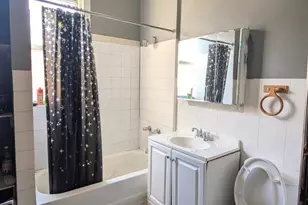 1518 N Hamlin Ave, Chicago, IL 60651 - Photo 33