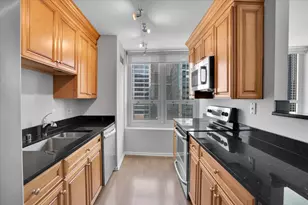 345 N La Salle Dr, Chicago, IL 60654 - Photo 15