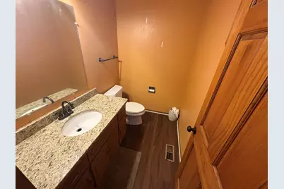 20247 E Lismore Circle, Frankfort, IL 60423 - Photo 11