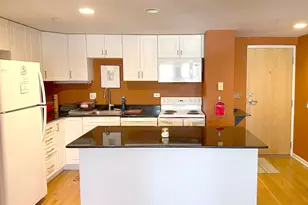 1041 Susan Collins Ln, Oak Park, IL 60302 - Photo 3