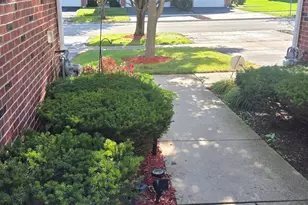 916 Berry Path Trail, Matteson, IL 60443 - Photo 3