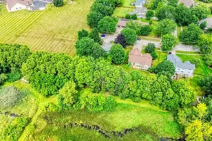 24555 S Moorman Ave, Channahon, IL 60410 - Photo 49