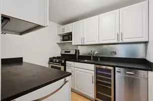 253 E Delaware Pl, Chicago, IL 60611 - Photo 9
