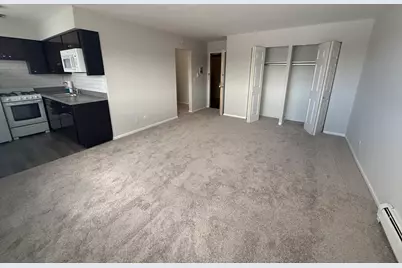 3001 Thatcher Avenue #2L, River Grove, IL 60171 - Photo 3