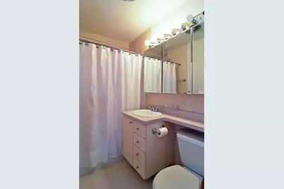 400 E Randolph Street #3516, Chicago, IL 60601 - Photo 13