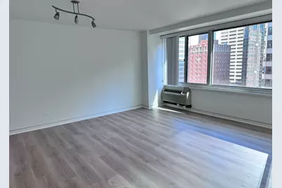 211 E Ohio Street #1504, Chicago, IL 60611 - Photo 11