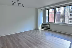 211 E Ohio St, Chicago, IL 60611 - Photo 11
