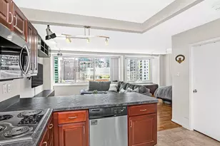 211 E Ohio St, Chicago, IL 60611 - Photo 7