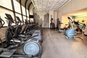 211 E Ohio St, Chicago, IL 60611 - Photo 13