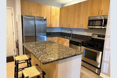 520 N Halsted Street #411, Chicago, IL 60642 - Photo 5