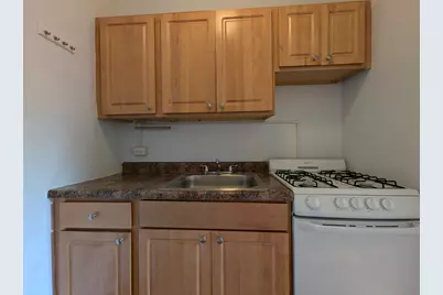 2536 N Sawyer Avenue #302, Chicago, IL 60647 - Photo 15