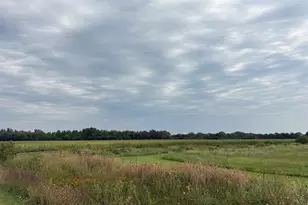 00 W Rt 113, Custer Park, IL 60481 - Photo 1