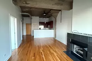 1071 W 15th St, Chicago, IL 60608 - Photo 5
