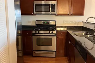 1071 W 15th St, Chicago, IL 60608 - Photo 7