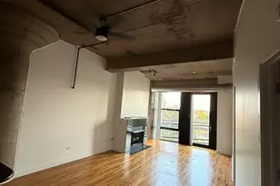 1071 W 15th St, Chicago, IL 60608 - Photo 3