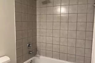 1071 W 15th St, Chicago, IL 60608 - Photo 13