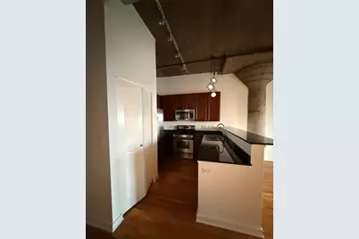 1071 W 15th Street #314, Chicago, IL 60608 - Photo 19