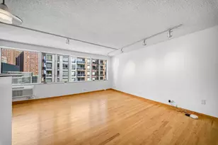 801 S Plymouth Ct, Chicago, IL 60605 - Photo 5