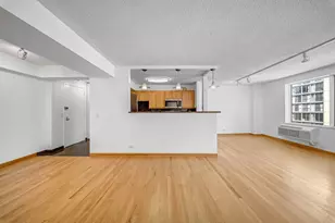 801 S Plymouth Ct, Chicago, IL 60605 - Photo 7