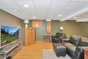 1541 Mallards Cove, Beecher, IL 60401 - Photo 19