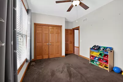 431 N Patricia Lane, Hampshire, IL 60140 - Photo 19