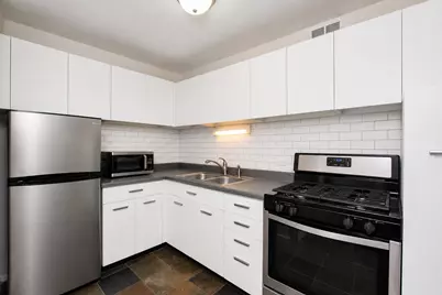 1401 E 55th Street #509N, Chicago, IL 60615 - Photo 3