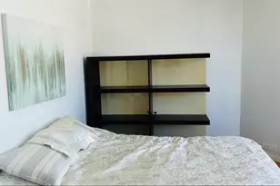 535 N Michigan Ave, Chicago, IL 60611 - Photo 21