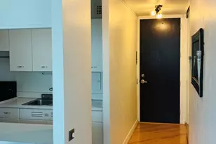 535 N Michigan Ave, Chicago, IL 60611 - Photo 17