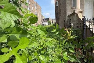 1517 S Millard Ave, Chicago, IL 60623 - Photo 1