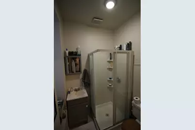 1736 W Beach Avenue, Chicago, IL 60622 - Photo 11