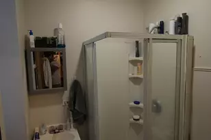 1736 W Beach Ave, Chicago, IL 60622 - Photo 11