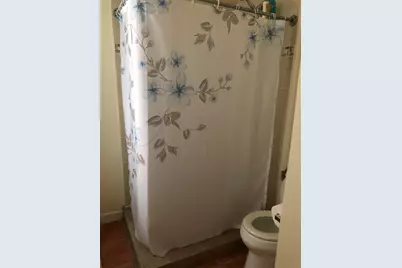 1736 W Beach Avenue, Chicago, IL 60622 - Photo 23