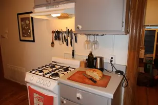 1736 W Beach Ave, Chicago, IL 60622 - Photo 13
