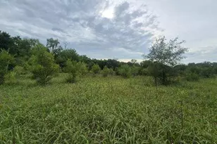 Lot 1 S Irish Ln, Custer Park, IL 60481 - Photo 1