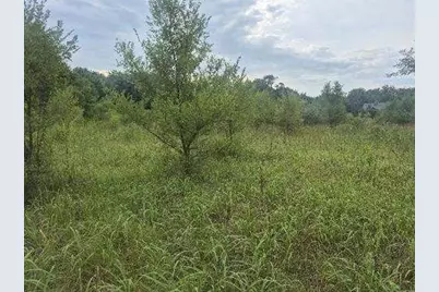 Lot 1 S Irish Lane, Custer Park, IL 60481 - Photo 7