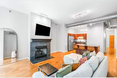 700 N Larrabee Street #1105, Chicago, IL 60610 - Photo 5