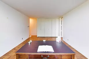 601 E 32nd St, Chicago, IL 60616 - Photo 37