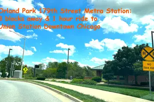 17838 Marley Creek Blvd, Orland Park, IL 60467 - Photo 41