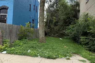 4318 W Gladys Ave, Chicago, IL 60624 - Photo 1