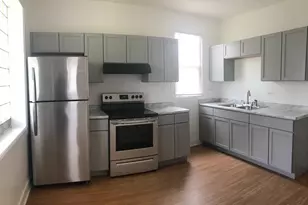 1653 S Springfield Ave, Chicago, IL 60623 - Photo 3