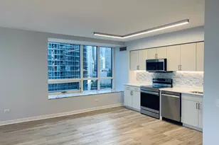 512 N McClurg Ct, Chicago, IL 60611 - Photo 13