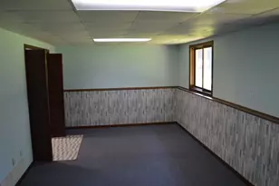 435 Public St, Tiskilwa, IL 61368 - Photo 19
