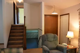 435 Public St, Tiskilwa, IL 61368 - Photo 11