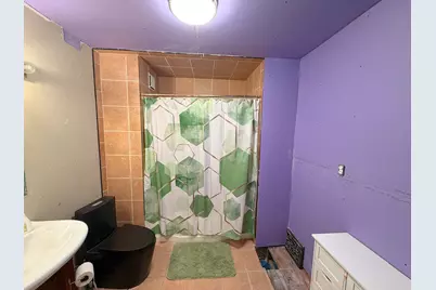 401 S Jackson Street, Flanagan, IL 61740 - Photo 11