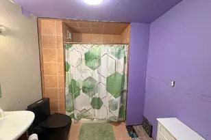 401 S Jackson St, Flanagan, IL 61740 - Photo 11